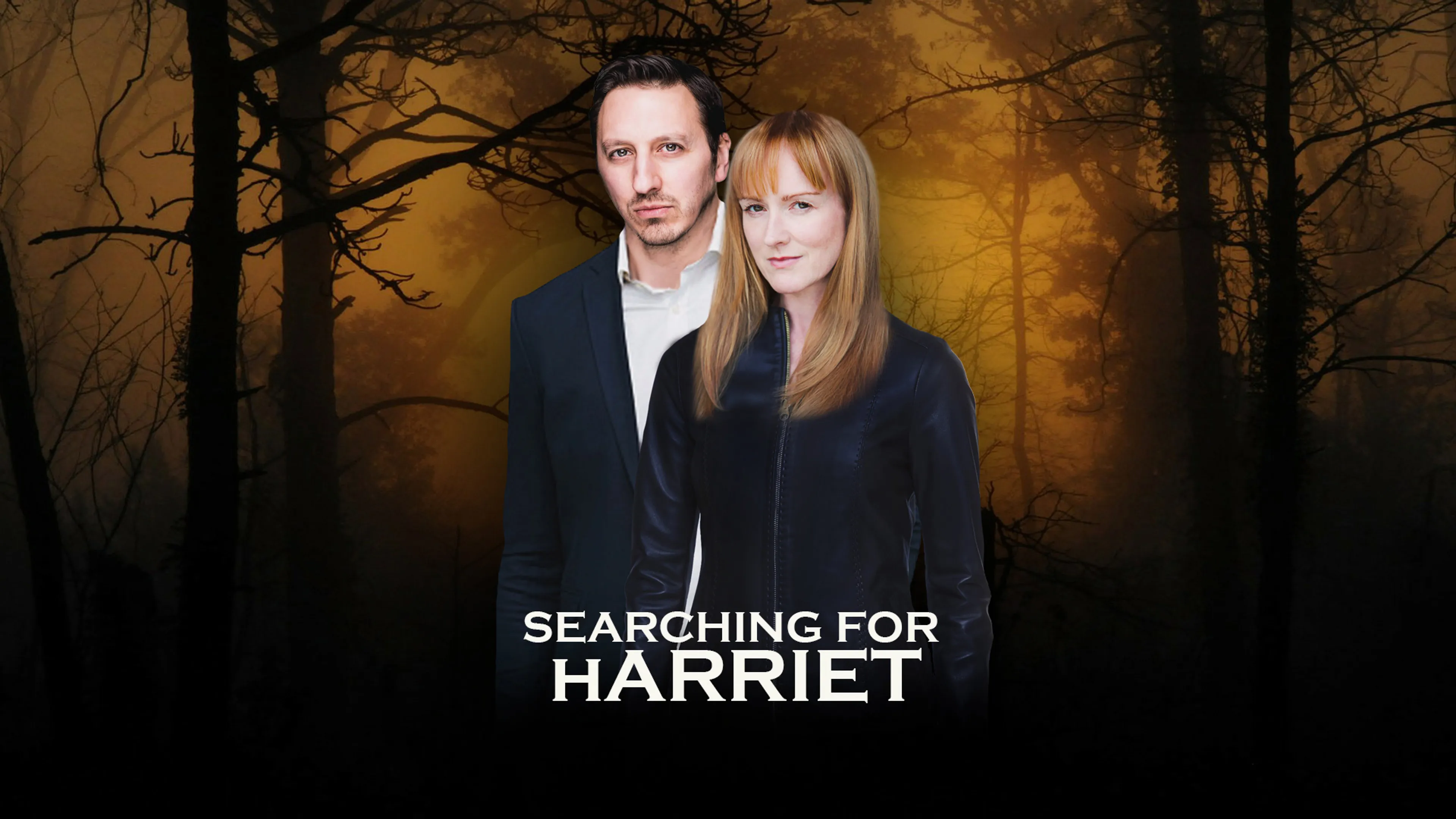 Searching for Harriet poster